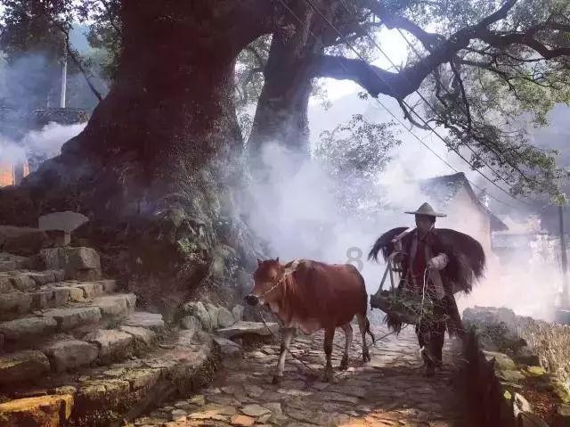 劲舞团